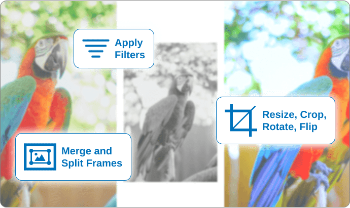 Resize, crop, rotate, flip and apply filers to images with GemBox.Imaging library in C# and VB.NET.
